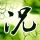《仙剑奇侠传6》海外版上架Steam 国区被锁搜索不到